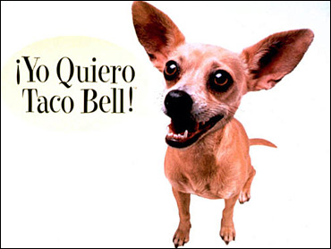 taco-bell-dog.jpg